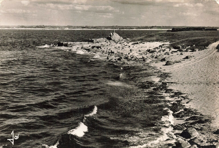 Pioca