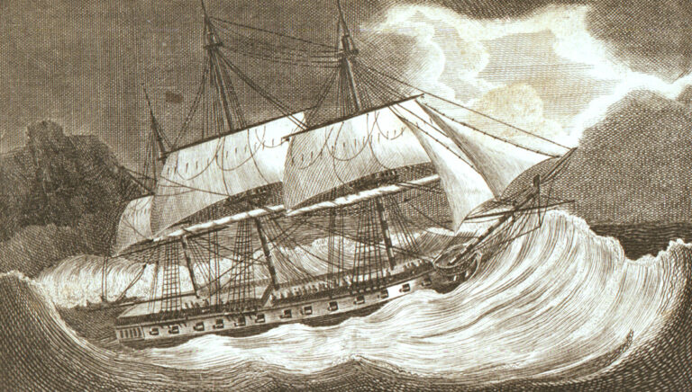 Frégate Blanche